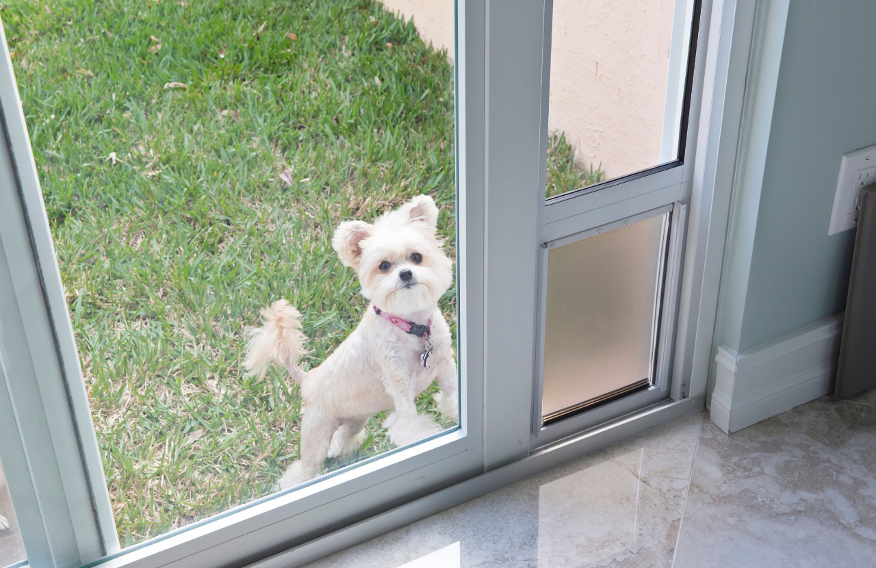 You are currently viewing Prices, Options and Sizes for Doggy doors