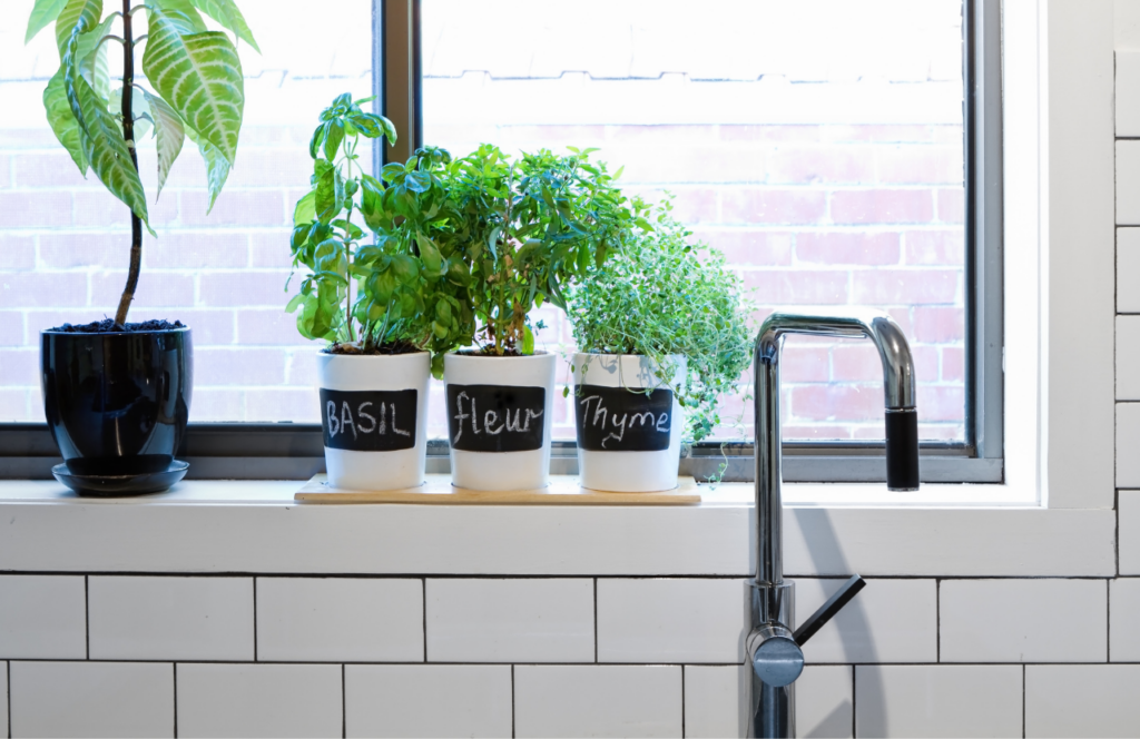 Frameless Shower Screen Pros and Cons Haines Glass